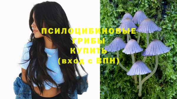 jwh Нязепетровск