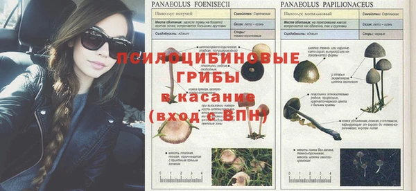 jwh Нязепетровск